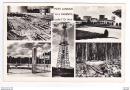 40 PARENTIS EN BORN Vers Biscarrosse Coule L'Or Noir Derrick Société ESSO Cuves Photo Vignes Castets VOIR DOS - Biscarrosse