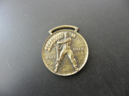 Medaille Medal - Schweiz Suisse Switzerland - 100 Jahre Schweizer Bundesstaat 1848 - 1948 - Autres & Non Classés