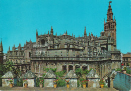 (SEV415) SEVILLA. CATEDRAL ... UNUSED - Sevilla
