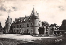 89-VILLEBLEVIN LE CHATEAU-N°C-4314-A/0357 - Villeblevin