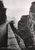38-VERCORS-N°C-4320-B/0131 - Vercors