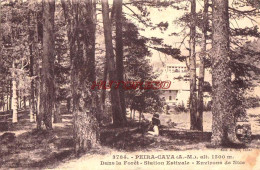 CPA PEIRA CAVA - DANS LA FORET - Lucéram