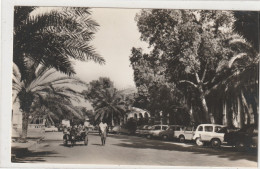 DJIBOUTI 12 : Djibouti Le Centre : édit. Abeille-Cartes Lyna Paris N° 68 Grands Comptoirs Français - Djibouti