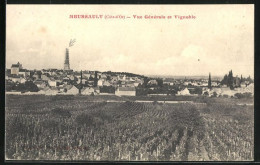 CPA Meursault, Vue Générale Et Vignoble - Meursault