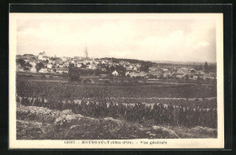 CPA Meursault, Vue Générale - Meursault