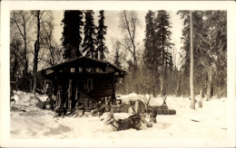 CPA Anchorage Alaska USA, Holzhütte, Schneebedeckter Boden, Hunde Im Vordergrund - Andere & Zonder Classificatie