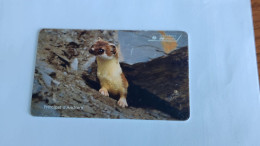 ANDORRA-(AD-STA-0078)-Pine Marten-(115)(50units)(?)(8/97)(tirage-20.000)used Card+1card - Andorra