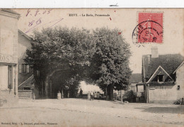 CPA - 10  -    ERVY -   La Berle ,promenade - Ervy-le-Chatel
