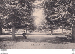 L1-47) DAMAZAN - LES PROMENADES - ANIMEE - HABITANTS - ( 2 SCANS ) - Damazan
