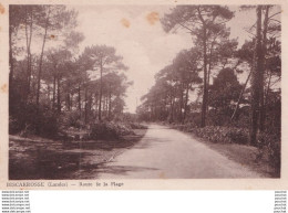 M10-40) BISCAROSSE - LANDES - ROUTE DE LA PLAGE  - ( 2 SCANS ) - Biscarrosse