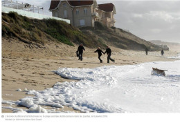 [40] Landes > Biscarrosse Erosion Du Littoral Janvier 2016 Photographie Journal Sud Ouest  REPRODUCTION - Biscarrosse