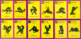 12 CPSM / CPM 10.5 X 15 Les 12 Signes Du Zodiaque Astrologie Horoscope Silhouette Couple Kamasoutra érotisme - Astrologie