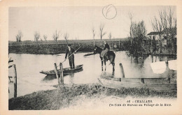 85 CHALLANS UN COIN DE MARAIS AU VILLAGE DE LA RIVE - Challans