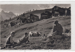 Beim Viehhüten In Findelen Ob Zermatt. * - Zermatt