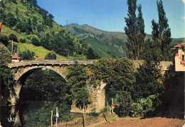 64 BIDARRAY PONT NOBLIA - Bidarray