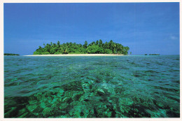 MALDIVES MALE LES MALDIVES - Maldives