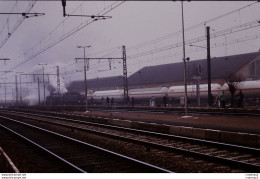 Photo Diapo Diapositive Slide TRAIN Wagons Citerne Locomotive à Vapeur SNCF 231 K 8 à MONTEREAU Le 05/12/1992 VOIR ZOOM - Diapositives (slides)
