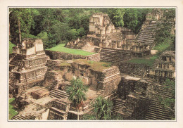 GUATEMALA TIKAL TIKAL - Guatemala