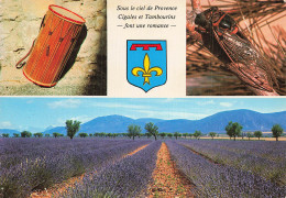 83 CARCES LES BELLES IMAGES DE PROVENCE - Carces
