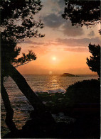 Coucher De Soleil - CPM - Voir Scans Recto-Verso - Hold To Light