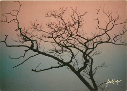 Coucher De Soleil - CPM - Voir Scans Recto-Verso - Hold To Light