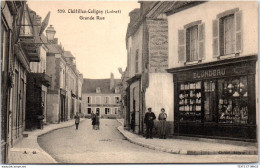 45 CHATILLON COLIGNY - Vue De La Grande Rue - Chatillon Coligny