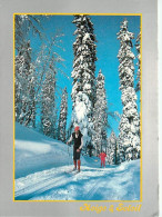 Sport - Sports D'Hiver - Ski - CPM - Voir Scans Recto-Verso - Wintersport