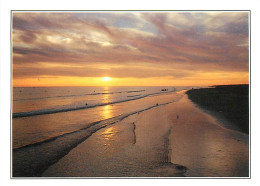 Coucher De Soleil - CPM - Voir Scans Recto-Verso - Hold To Light