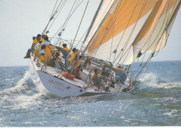 SPORT. VOILE. CPM. PUBLICITE. LE MAXI YACHT " LA POSTE " - Sailing