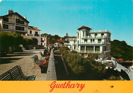 64 - Guéthary - La Terasse - Fleurs - CPM - Voir Scans Recto-Verso - Guethary