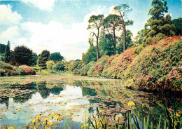 Angleterre - Sheffield - Sheffield Park - Yorkshire - England - Royaume Uni - UK - United Kingdom - CPM - Carte Neuve - - Sheffield