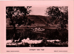 PC JUDAICA KIBBUTZ SHAAR-HAAMAKIM ISRAEL (a71355) - Judaika