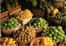 PC PHILIPPINES, TROPICAL FRUITS, Modern Postcard (b60262) - Filippine
