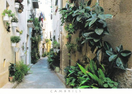 Costa Daurada -  CAMBRILS - Tarragona
