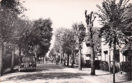 Saint Pol Sur Mer - Rue Edmond Flament  -  CPSM °J - Saint Pol Sur Mer