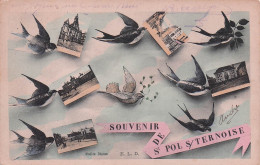 62* ST POL S/TERNOISE  « souvenir »  Multi Vues    RL49,0269 - Saint Pol Sur Ternoise
