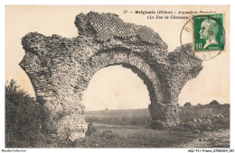 AQJP11-0768-69 - BRIGNAIS - Acqueducs Romains - Le Dos De Chameau - Brignais