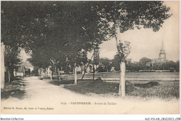 ALE2P11-68-0430 - DANNEMARIE - Route De Belfort - Dannemarie