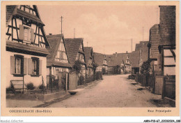 AMNP10-1098-67 - OBERSEEBACH - Bas-rhin - Rue Principale - Haguenau