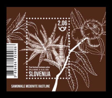 Slovenia 2025 Mih. 1677 (Bl.166) Flora. Melliferous Plants. Sweet Chestnut MNH ** - Slovénie