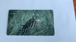 Nambia-(NAB-12)-Serval Cat-(124)-(N$10)-(NAEI 0075-6443)-used Card - Namibia