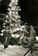 Olbernhau Erzgebirge Markt Zur Weihnachtszeit Christbaum - Olbernhau