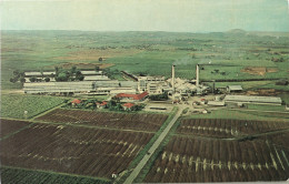Carte Postale : TRINIDAD : Sugar Mill - Trinidad
