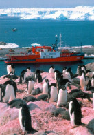 1 AK Antarctica / Antarktis / Terre Adelie * Adelie Penguins And The Astrolabe Ship In Dumont D'Urville * - Altri & Non Classificati