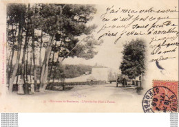 D33  PESSAC  L'entrée Des Pins à Pessac - Pessac