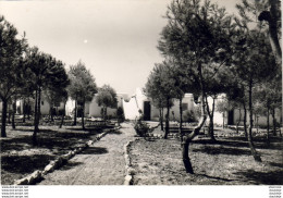 ESPAGNE  RODA DE BARA     HOSTAL DE LOS REYES DE ARAGON - Tarragona