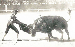 CARTE PHOTO/CORRIDA DE TOROS Aux ARENES DE BAYONNE < PASSES DE MULETA AVANT L'ESTOCADE (photo JUGAN/Biarritz) - Corrida