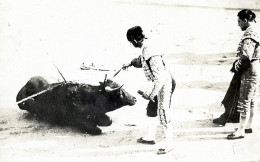 CORRIDA DE TOROS < SUERTE DU CACHETERO - Corrida