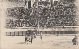 NÎMES (Gard): Corrida - Les Arènes - Lot De Deux Cartes Photos - Corrida