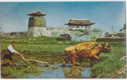 Fortezza Di Hwaseong  /   Castello A Suwon, Corea Del Sud - Corée Du Sud